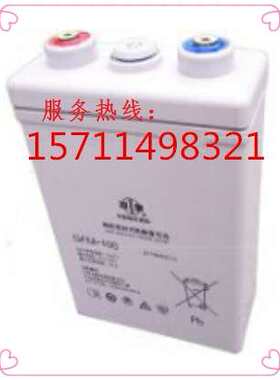 双登阀控密封式铅酸免维护蓄电池GFM-100 2v100ah 通信基站 专用