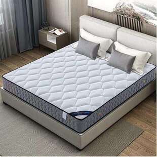 席梦思床垫软硬两用20cm厚1.8米1.5m家用双人经济型椰棕弹簧床垫