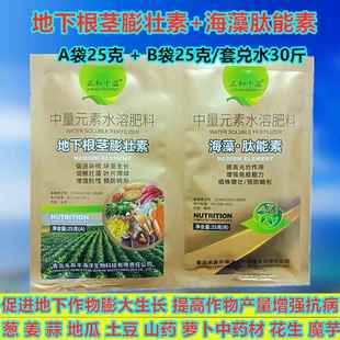 大蒜生姜土豆地瓜萝卜地下根茎膨大素海藻肽能素根茎壮苗增产肥料