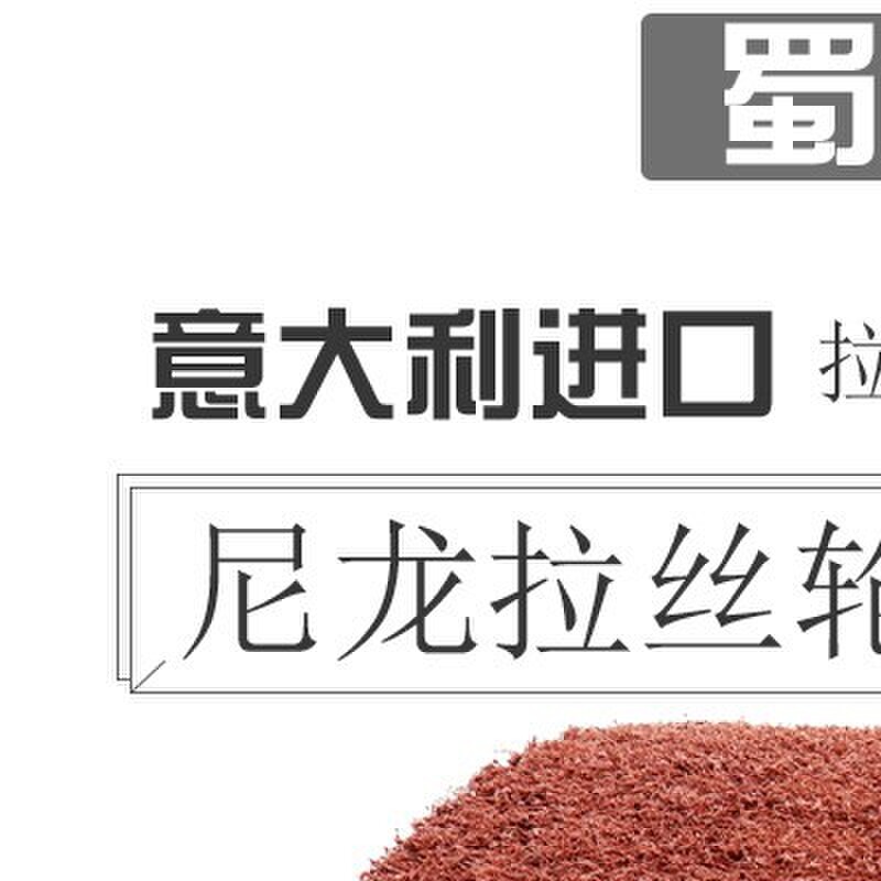 进口拉丝轮不锈钢专用百洁布尼龙抛光轮钢丝轮纤维轮意大利RVTEXA
