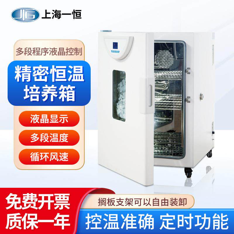 上海 精密恒温培养箱BPH-9042实验室工业微生物恒温培养箱