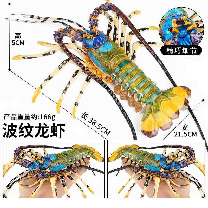 仿真大号实心海洋动物波纹龙虾澳洲龙虾模型螃蟹儿童玩具装饰摆件
