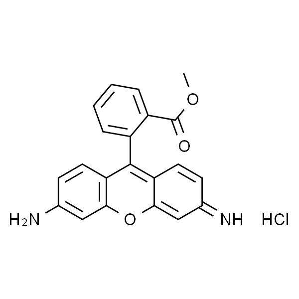 R8030罗丹明12362669-70-9阳离子绿色荧光染料检测膜电位