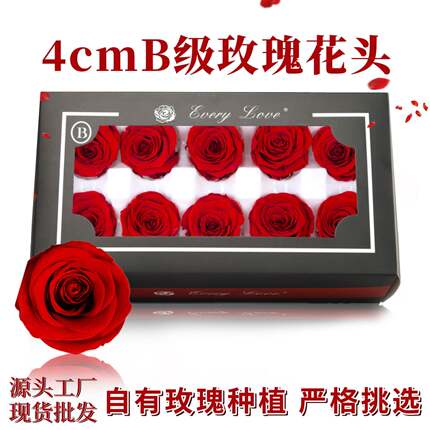 永生花玫瑰花头4cmB级10朵装diy手工材料高级感干花花材