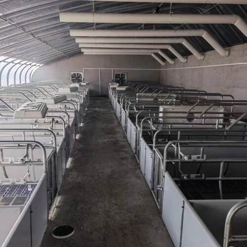 养猪场母猪产床单体双休连排欧式产床分娩床产仔箱