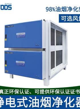 亚德森厂家低空排12000风量商用油烟净化器餐馆油烟净化设备