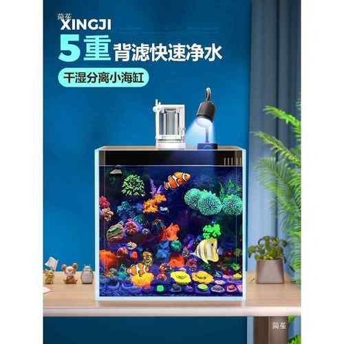 背滤水缸套全设备客厅丑小型桌面珊瑚造景方缸白10072725玻璃小海