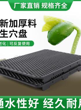 豆筐 产地错021546货源种塑料花生芽植盘育苗芽箱 位筐育苗盘