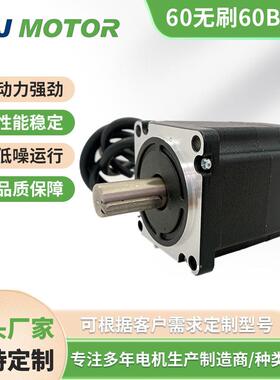 S60BL78直流无刷电机24V48V310V100W0.32Nm3000转噪音小淞杰厂家