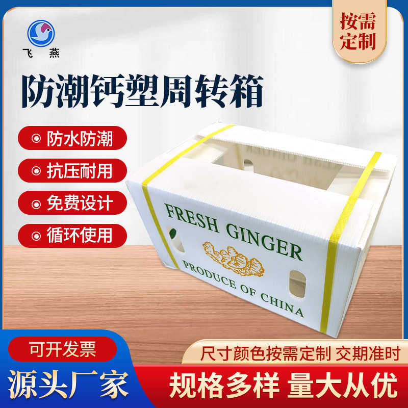 PP蔬菜保鲜箱水果中转保鲜箱PE防潮透气运输中空板箱钙塑中空板箱
