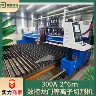 6m数控龙门等离子切割机华远等离子电源龙门等火两用切割机 300A2