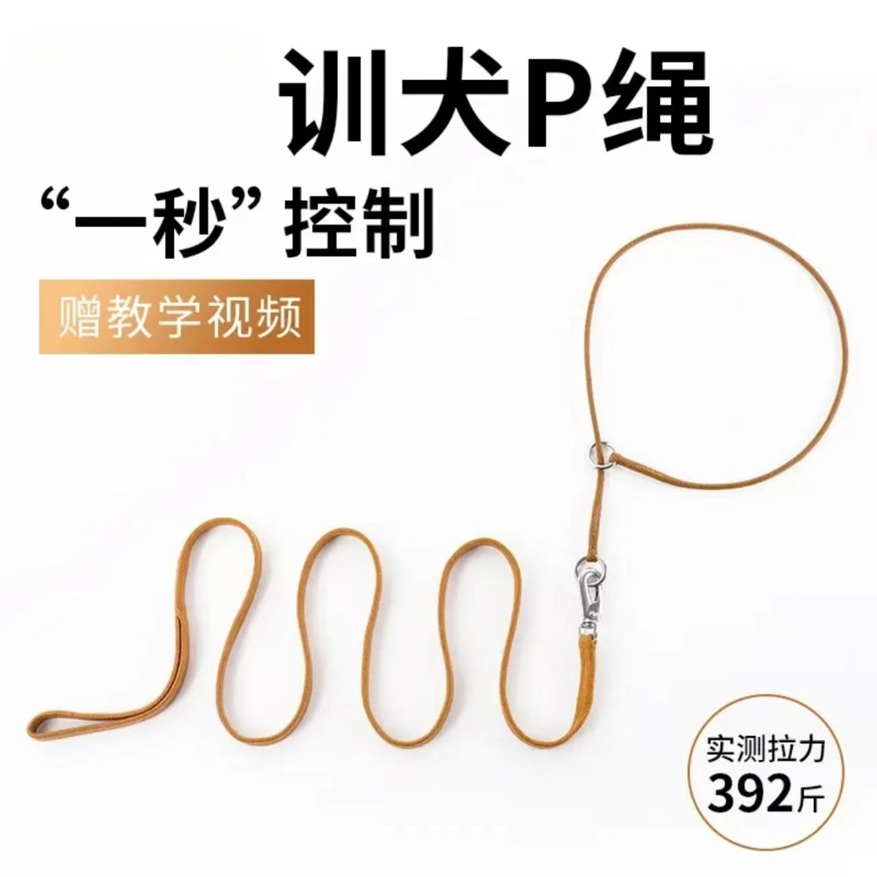 比赛P绳宠物牵引绳狗绳子P链训犬狗链金毛萨摩边牧大中型小犬项圈