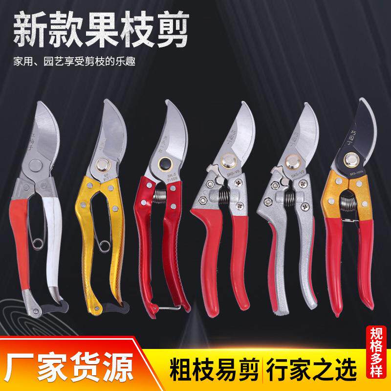 现货供应果枝剪园林剪刀修枝剪剪刀树枝剪刀花剪园艺工具