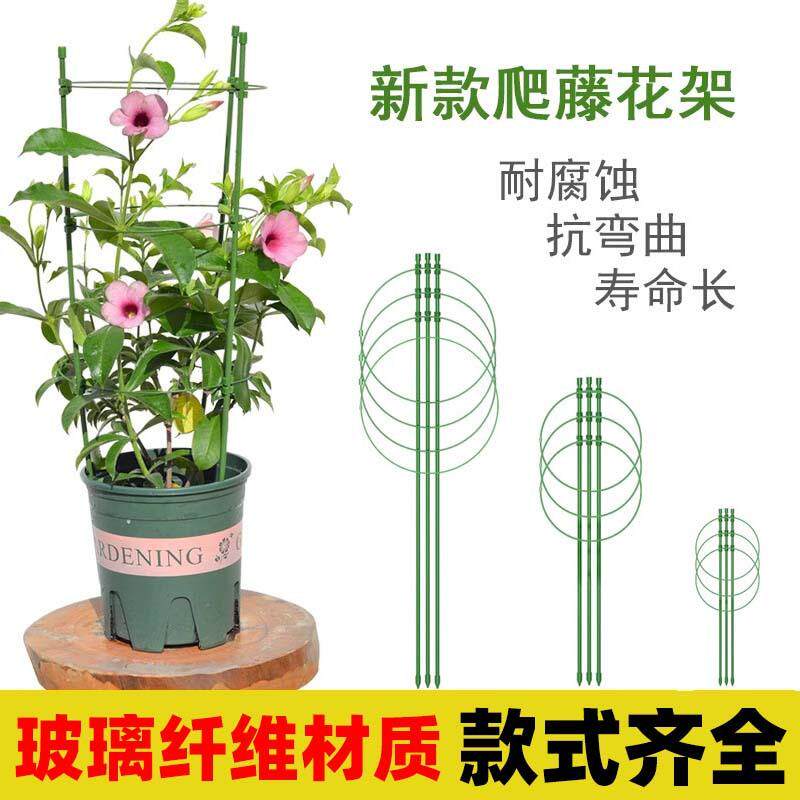 可调节爬藤花架支架蟹爪兰月季花攀爬架子室内花卉绿萝植物支撑杆