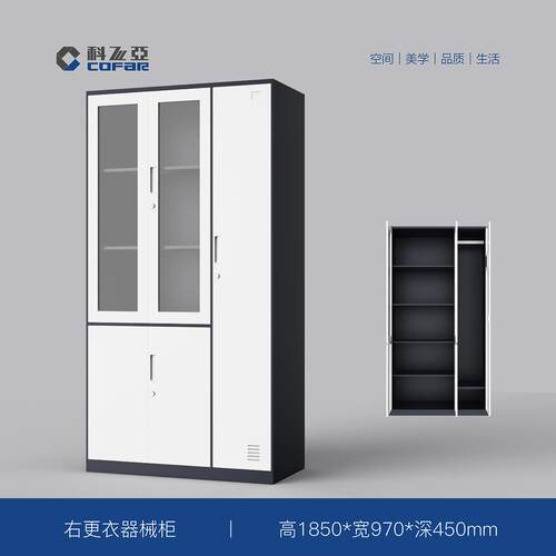 科飞亚文件柜钢制带锁铁皮更衣柜办公室保密档案柜矮柜对开极简