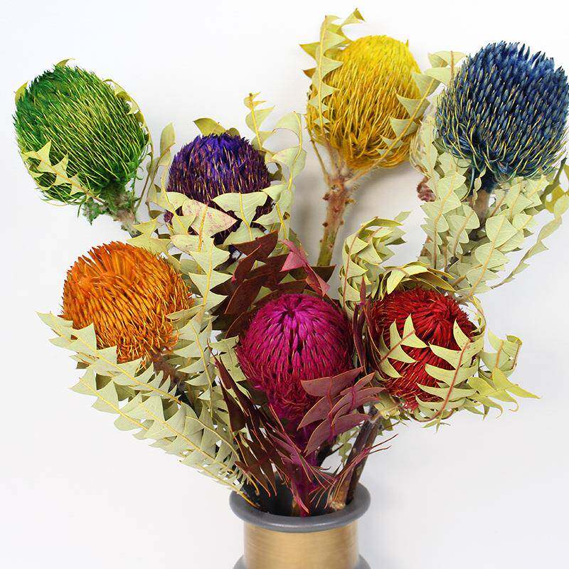 进口班克木 高端装饰插花干花材 贝克斯 酒店样板间店铺软装陈设