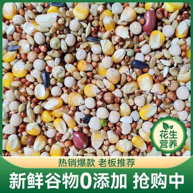 鸽粮50斤装玉米赛飞粮良德易营养鸽料赛信观赏肉鸽子粮食鸟食郑之