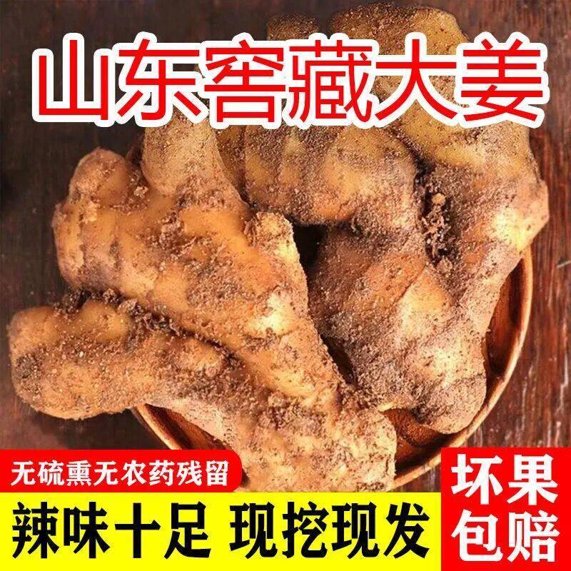 山东窖藏大黄姜10斤新鲜生姜老姜沙姜月子姜包邮当季农家现挖蔬菜
