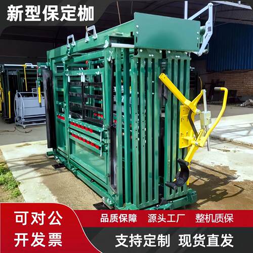 牛用新型保定枷牛场防疫保定架保定栏牧场肉牛智能称重分群设备