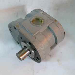 100x25高压齿轮泵 HY01 磨床锯床车床齿轮泵 高压液压泵