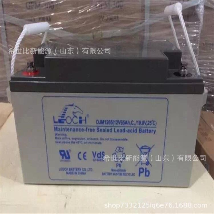 理士蓄电池DJM1260S 铅酸免维护12V60AH隧道应急照明系统