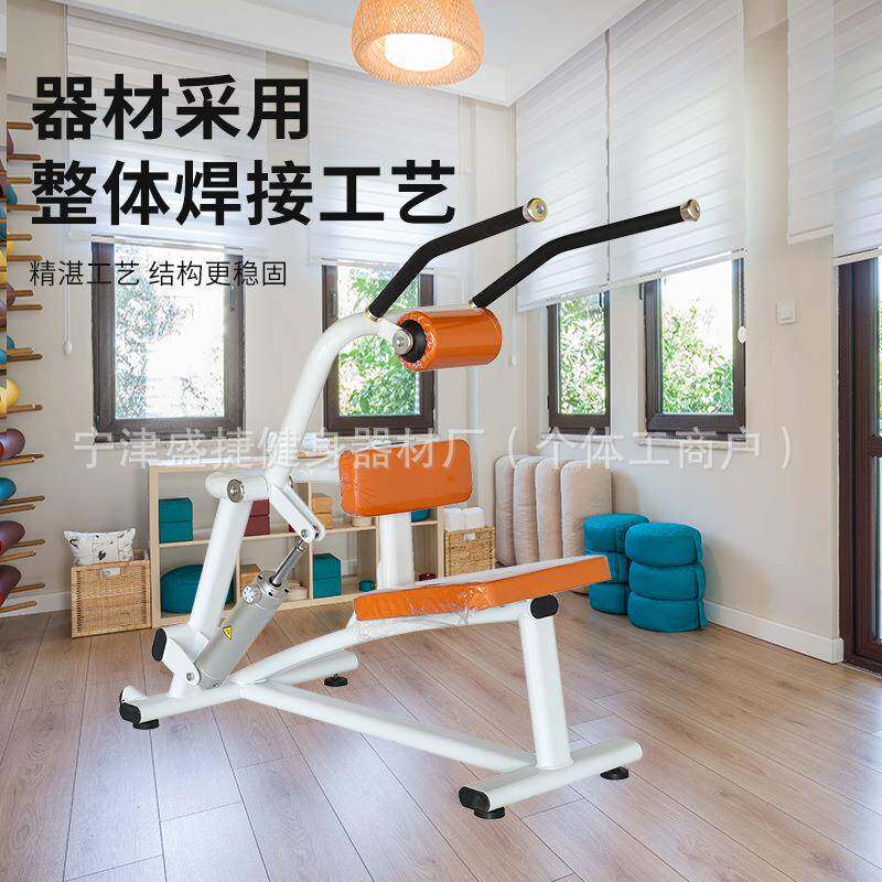 室内运动器械液压女士康复训练推胸蹬腿背肌训练器社区健身房器材
