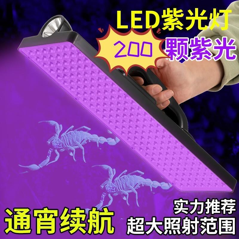 照蝎子灯专用强光超亮充电led紫光灯手提式超长续航大平板豆虫灯