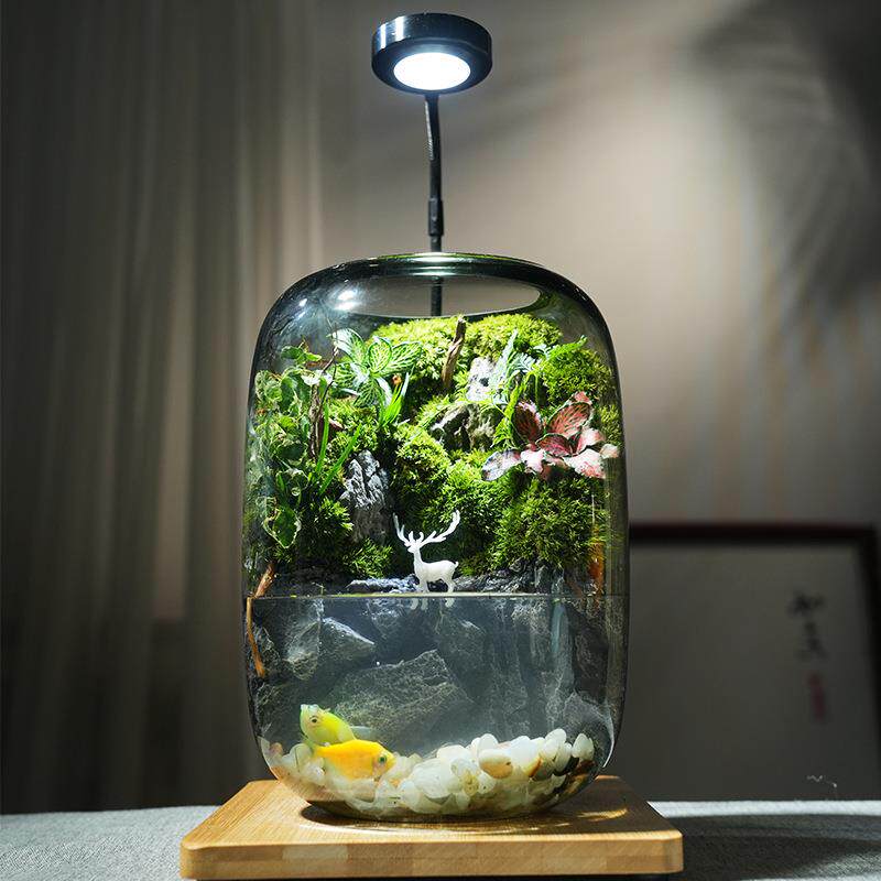 【鹿影】趣味苔藓造景流水鱼缸创意生态桌面摆件客厅办公室厂家发