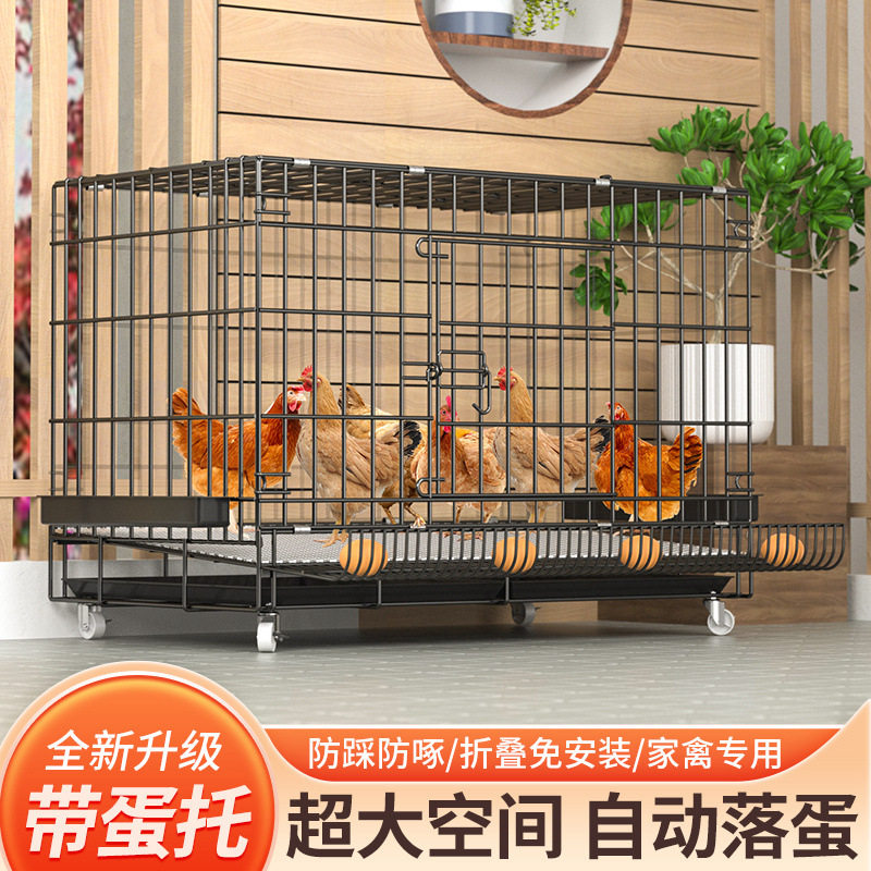 鸡笼子家用养鸡笼大号特大号自动清粪折叠养殖笼鸡舍铁丝网鸭狗笼