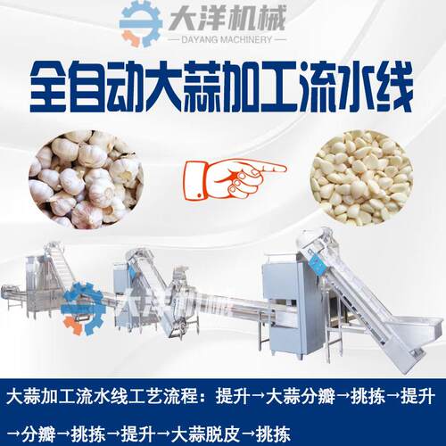 去皮蒜米加工生产线不锈钢材质300-4000kg/h大蒜分瓣脱皮加工设备