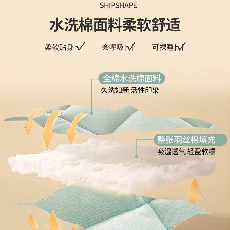 四季用通双床A纯SX202407棉B绒面床罩套面单笠件加厚全包床垫保护