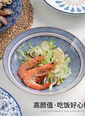 陶瓷盘子2套CWT装子餐菜盘家用204新款网红碟创意日式具餐盘汤盘