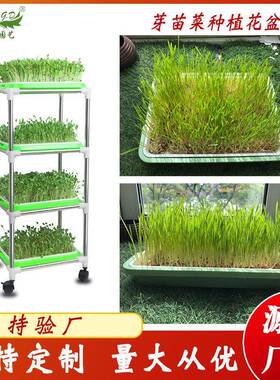 水培育苗托盘塑料生长托盘立体长方形无土种植芽苗菜盘种菜盆