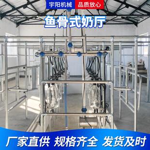 鱼骨式挤奶厅牧场设备奶牛奶羊大型挤奶机自动脱杯自动清洗挤奶厅