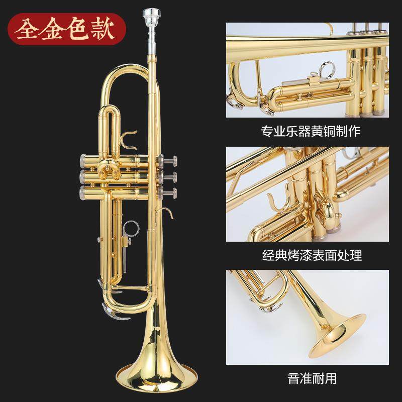 高档小号乐器降b调洋专号业演鼓奏三音小号初学者学生儿童号队西