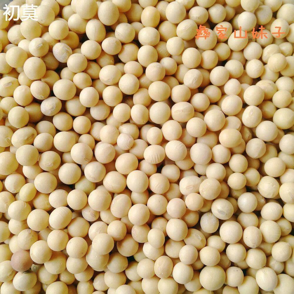 云南生黄豆粉300克*1袋2袋3袋5袋豆浆粉豆花食材 大豆杂粮黄豆面