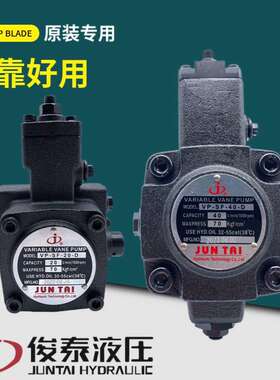 JUNTAI俊泰油泵VP-SF-40-D 30-D 120KG公斤叶片泵 20 15 12 A B C