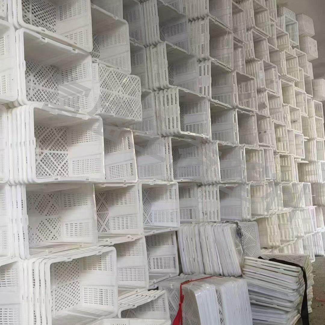旧的塑料筐桂圆周转筐收纳框运输蔬菜筐小号胶筐李子筐快递箱框子