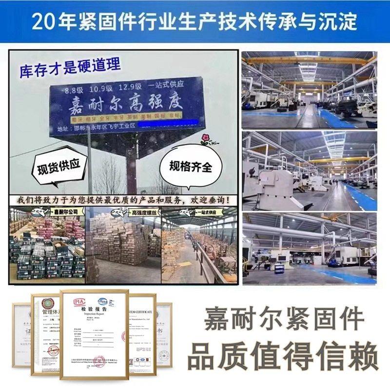 12.9级螺丝之星强度公制杯头内六角镀锌螺丝M6-m48*270加长螺栓