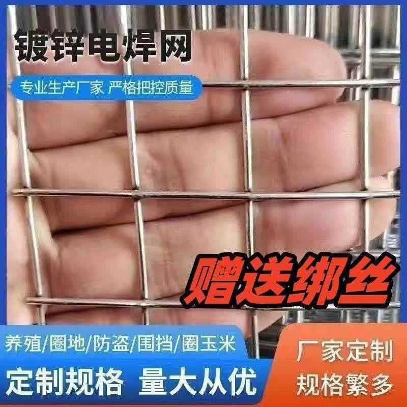 防锈镀锌养殖网铁丝网防鼠养殖阳台防护网鸡笼兔笼防猫网短米