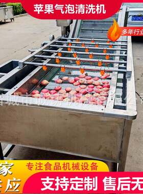 工厂用全自动果蔬气泡清洗机山楂喷淋清洗机蓝莓鼓泡翻浪清洗机