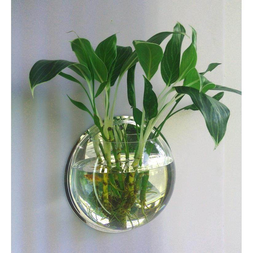 墙饰壁饰壁挂鱼缸花瓶创意家居饰品客厅墙上花盆墙面装饰微景草缸,家居饰品,壁饰,淘宝优惠券,粉丝福利购,淘宝优惠卷