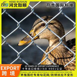 冷热镀锌菱形钢丝方格握边养殖隔离防护宁边围栅栏铁丝编织勾花网