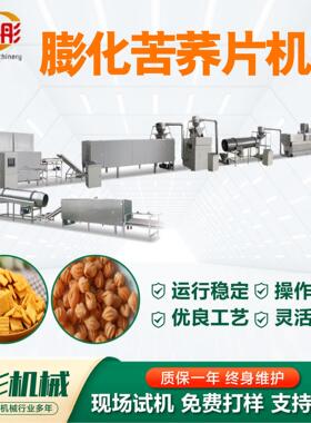 休闲食品生产线双螺杆设备膨化机补贴项目配置灵活膨化苦荞片机械