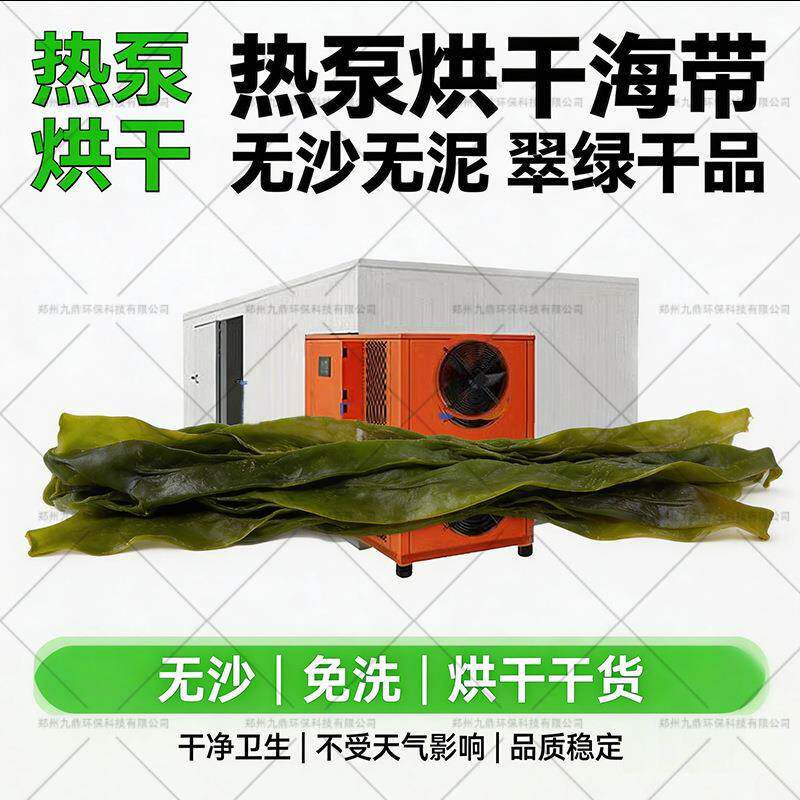 全自动带烘干房海根菜海带花烘干备热风循环海海藻烘干设箱