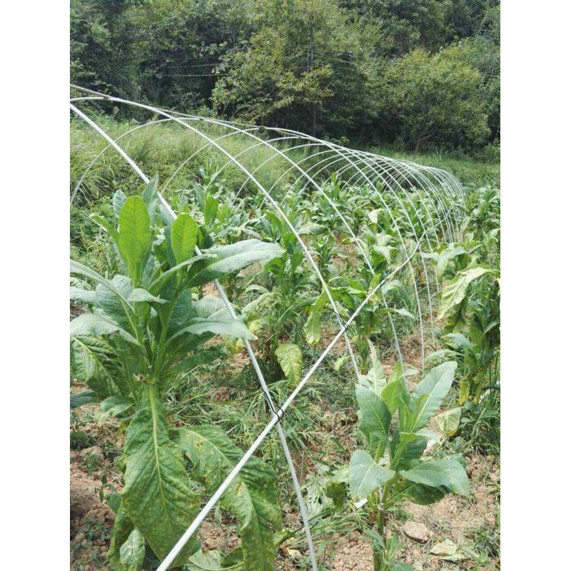 16mm玻璃纤维杆简易大棚内棚二棚支架保温棚育苗棚支架到县城自