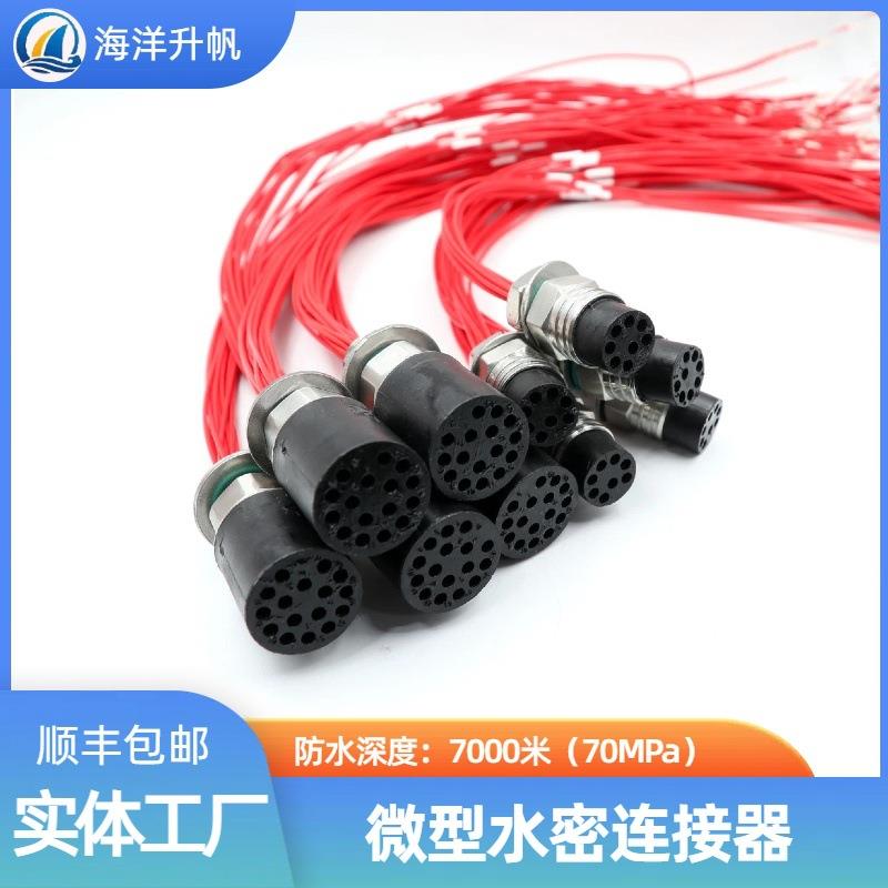 海洋升帆水密连接器微型2芯防水7000米密封插头湿插拔连接器 兼容