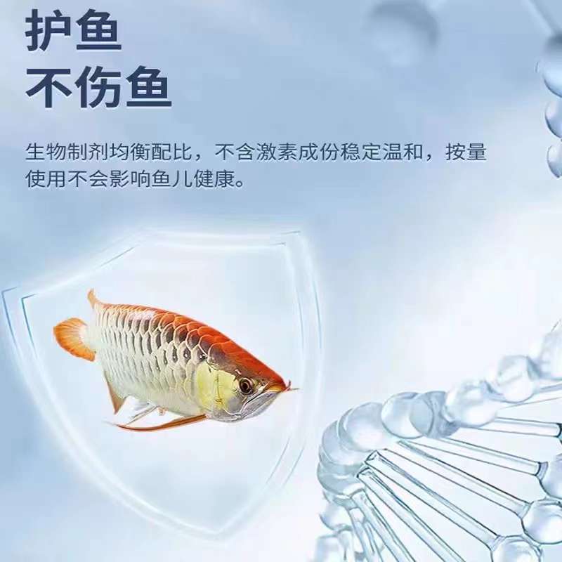 奇罗芬4号鱼康宝奇罗芬鱼康宝龙鱼锦鲤水里白点烂尾掉鳞水霉蒙眼