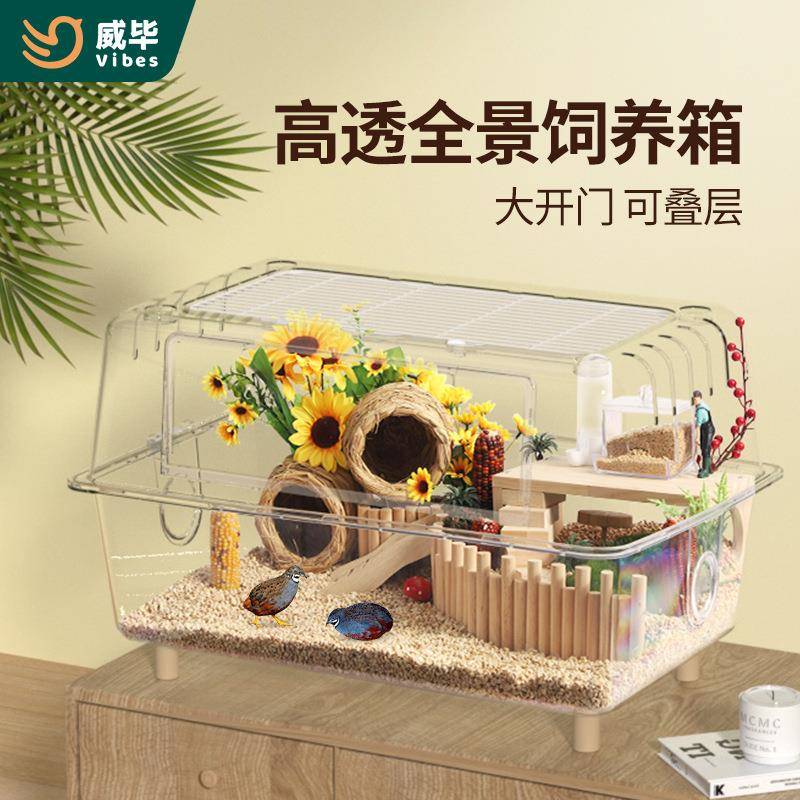 芦丁鸡饲养箱透明水晶养殖专用易清理爬宠小鸡箱子宠物箱鸡窝笼子