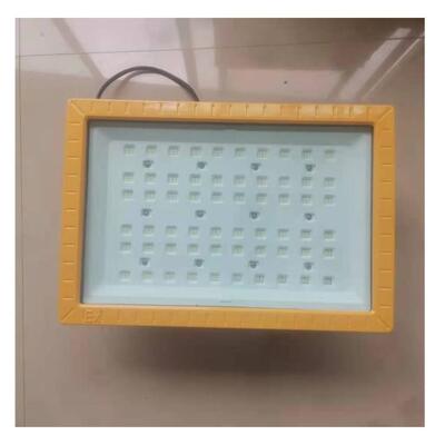 SZSW8250-200W 220V IP66 Ex demb IIC T5/T6 防爆LED工作灯